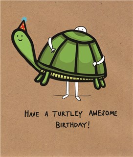 A852 turtley birthday.jpg